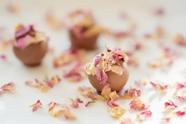 フィーバー スロット カジノ Android/iOS アプリ